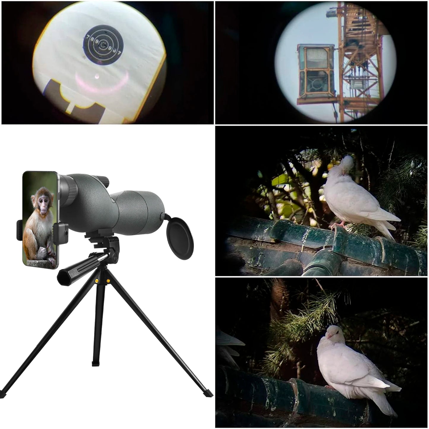 25-75x60 Telescope With Tripod