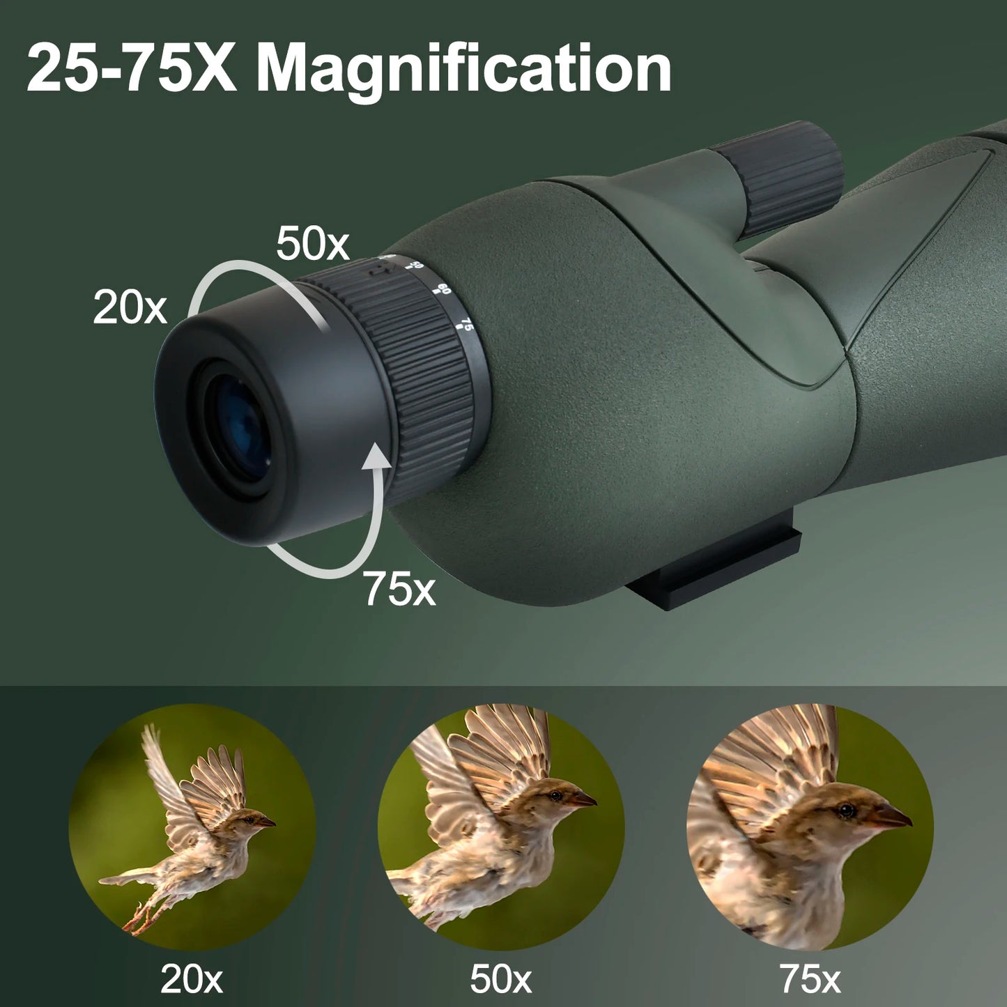 25-75x60 Telescope With Tripod