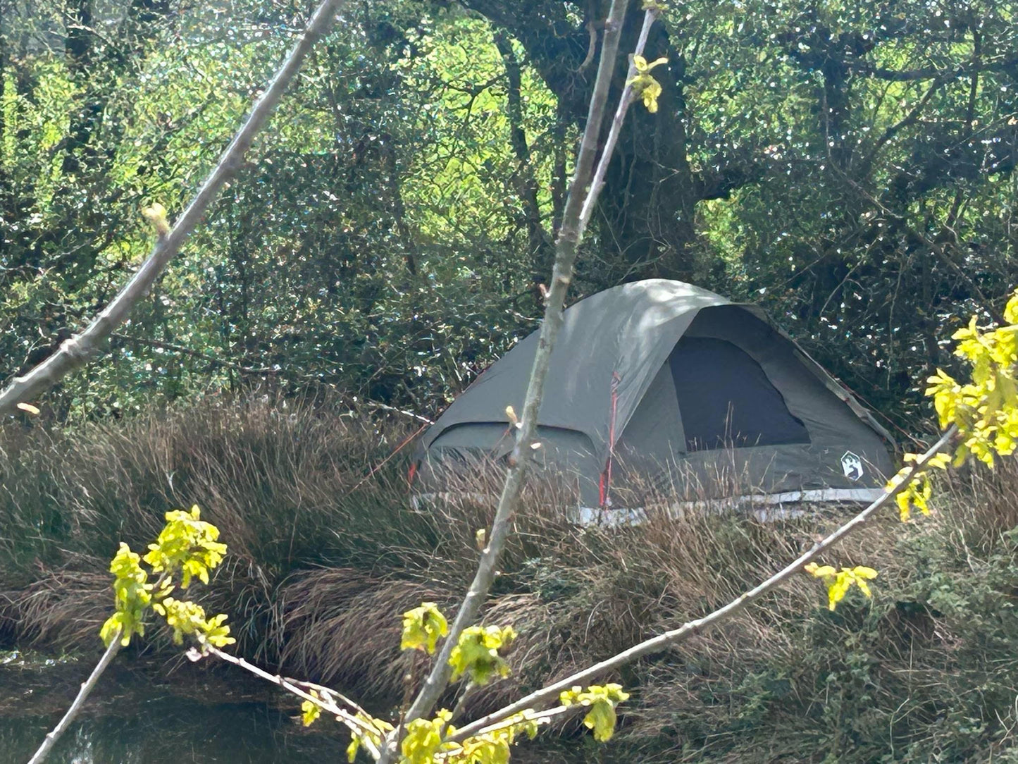 4-Person Waterproof Olive Green Dome Camping Tent