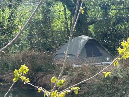 4-Person Waterproof Olive Green Dome Camping Tent